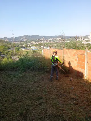 Jardinero Servicio de desbroce de terrenos