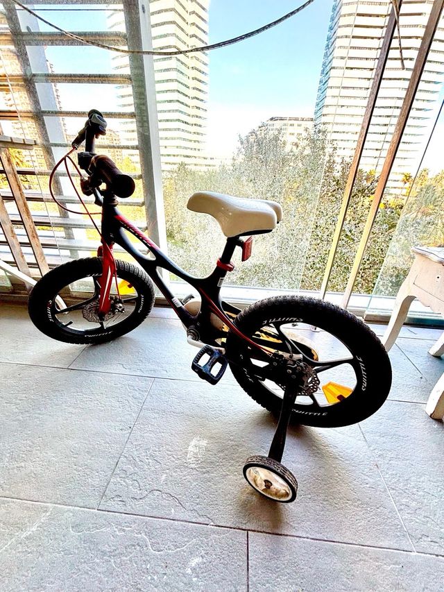 Bicicleta infantil 16 pulgadas