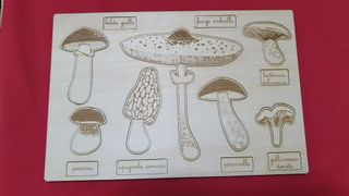 Puzzle in legno funghi nomenclature montessori