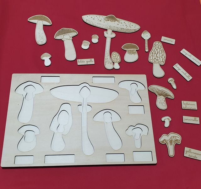 Puzzle in legno funghi nomenclature montessori