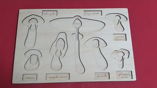 Puzzle in legno funghi nomenclature montessori