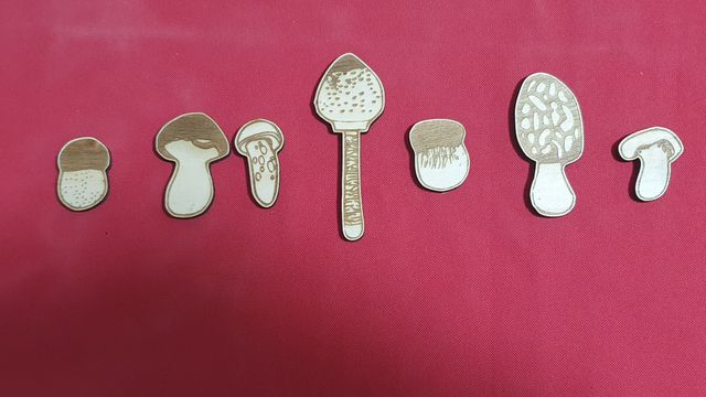 Puzzle in legno funghi nomenclature montessori
