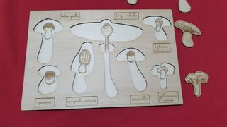 Puzzle in legno funghi nomenclature montessori