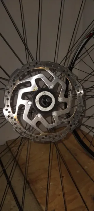 Rueda Alex Rims ZX 20 MTB 29 Delantera