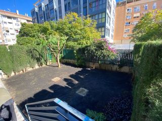 Trabajos de jardinería y poda .