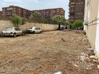 Trabajos de jardinería y poda .