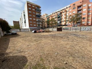 Trabajos de jardinería y poda .