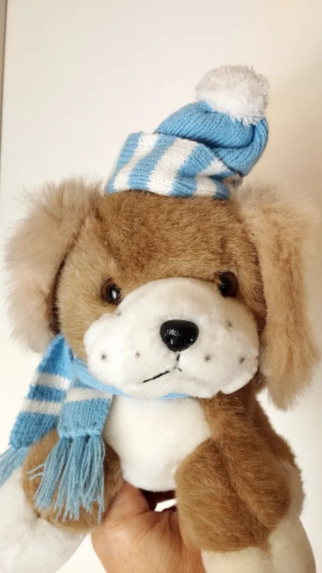 Peluche cane con cappello e sciarpa