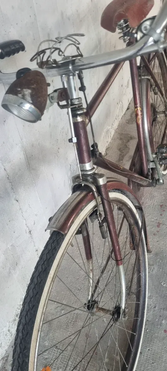 Bici Vintage da uomo