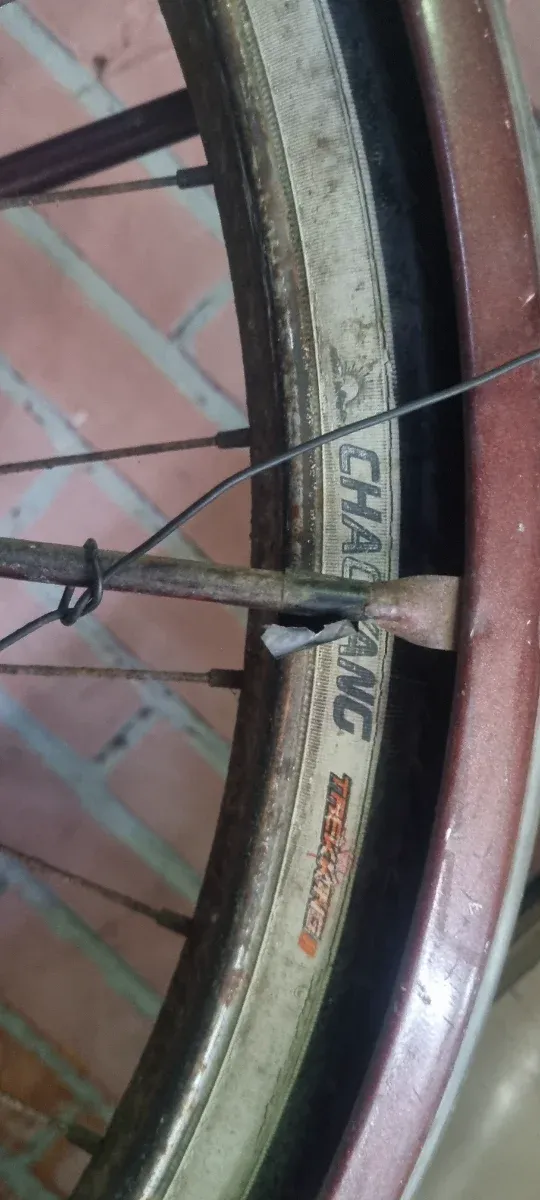 Bici Vintage da uomo