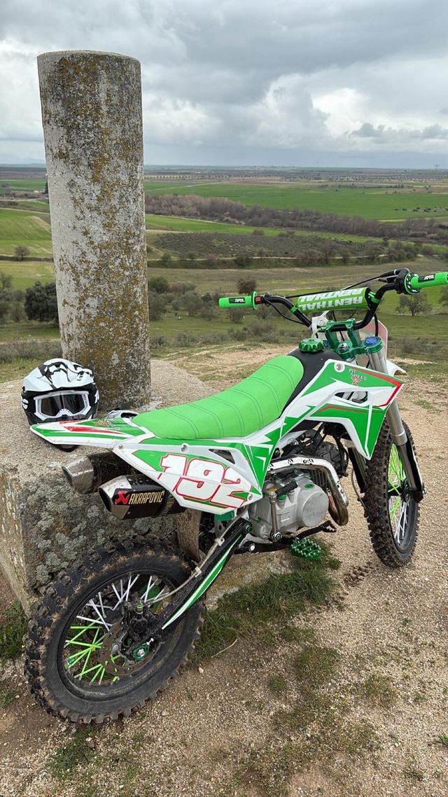 Pit Bike Pit Speed 140cc