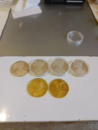 Lote 6 monedas (2 oro, 4 plata)chapada/ bañadas