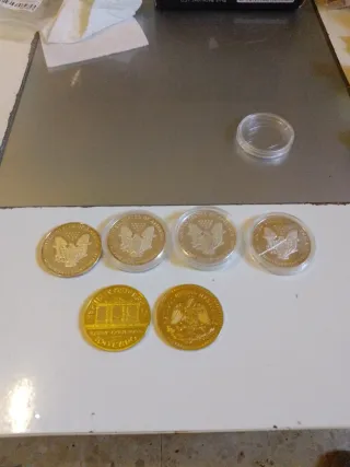 Lote 6 monedas (2 oro, 4 plata)chapada/ bañadas