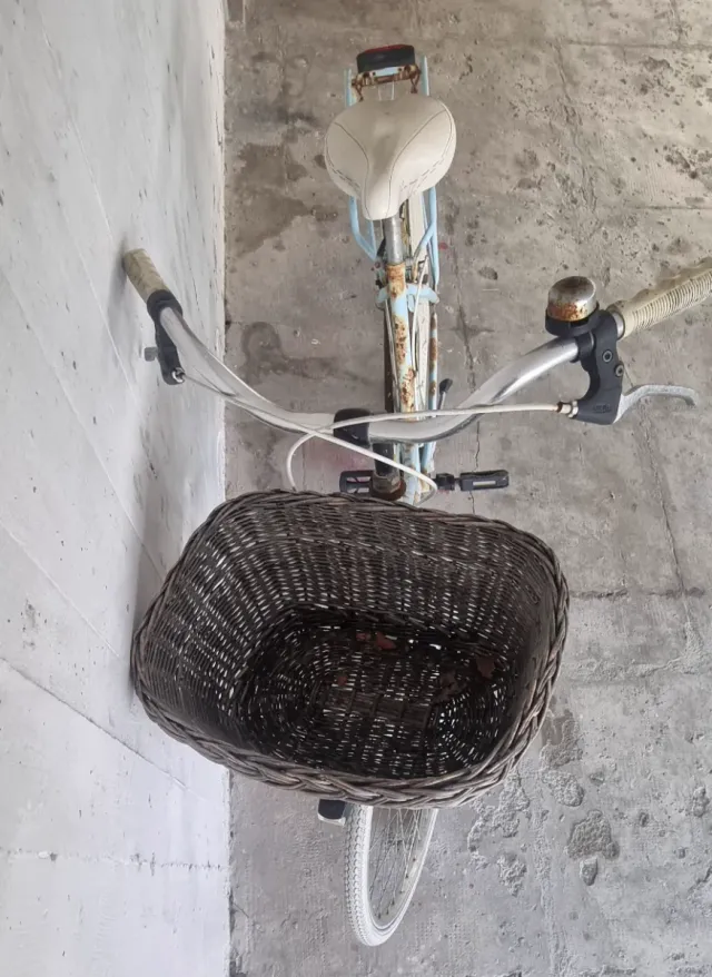 Bicicletta azzurra con cestino
