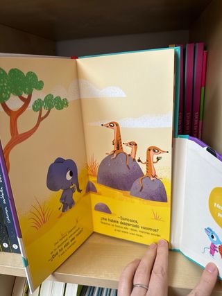 +3  Formato  en zigzag. Libro infantil