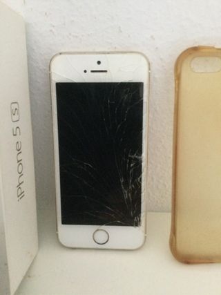 iPhone 5s Apple Blanco y Dorado