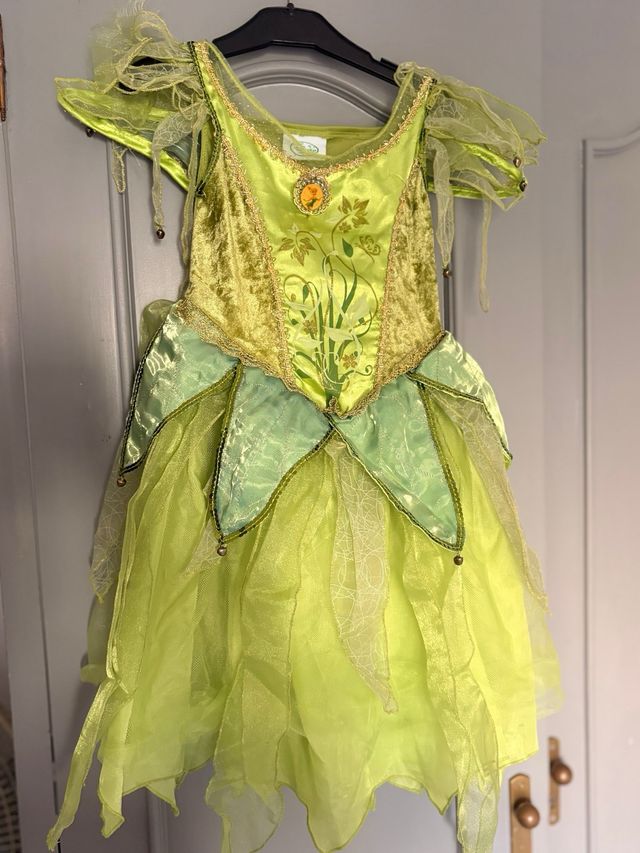 Lote Disfraces Niña Disney