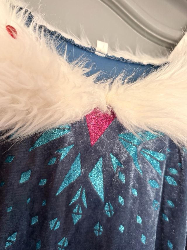 Lote Disfraces Niña Disney