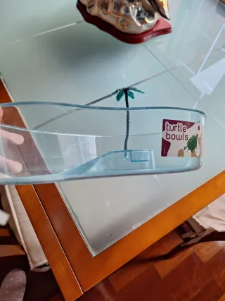 Tortuguera con palmera decorativa