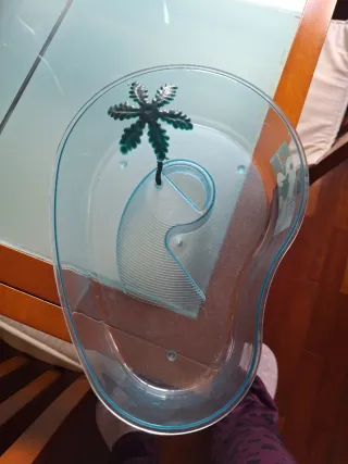 Tortuguera con palmera decorativa