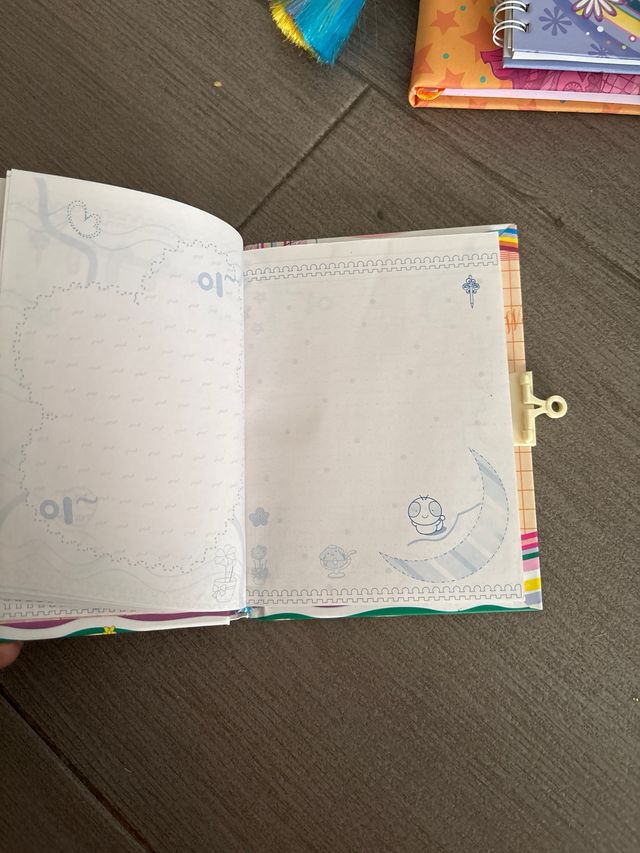 Diario infantil con cierre, le falta el candado