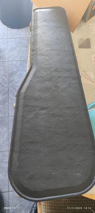 Guitarra Eléctrica RGX 420s + Funda Rígida