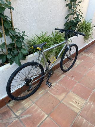 Bicicleta de montaña plateada