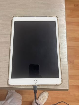 Apple iPad 7ª Gen 2019 Plata/Blanco
