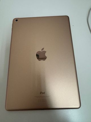 Apple iPad 7ª Gen 2019 Plata/Blanco