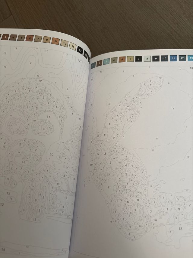 Libreta Colorear Colouring by Number