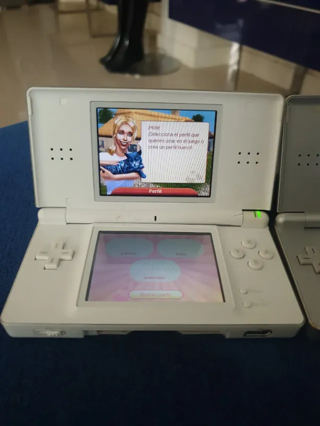 2 Consolas Nintendo DS Blancas y Plateadas