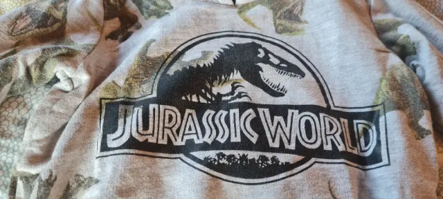 Felpa Jurassic World Bambino