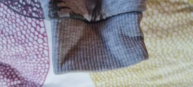 Felpa Jurassic World Bambino