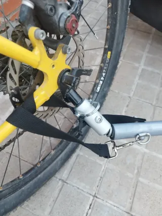 Remolque bicicleta para niños