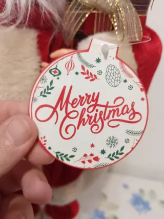 Babbo Natale cm 50 con sacco e regalo