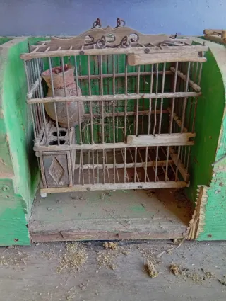 Jaulas pájaros madera antigua