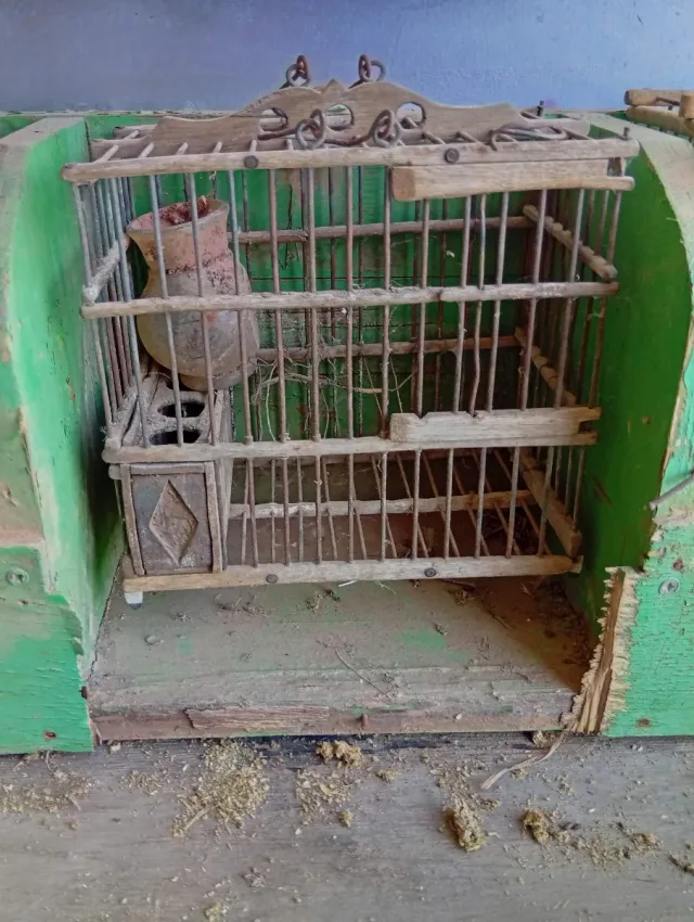 Jaulas de madera silvestrismo