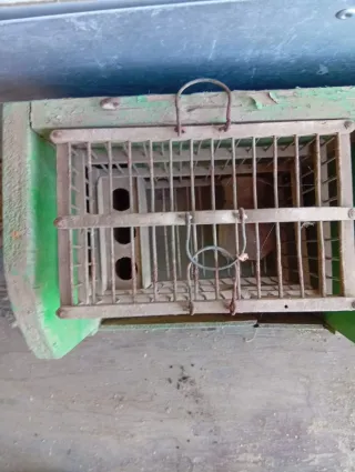 Jaulas pájaros madera antigua