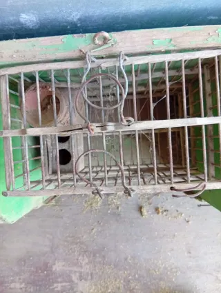 Jaulas pájaros madera antigua