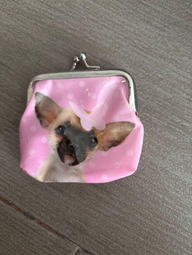 Monedero infantil con perrito