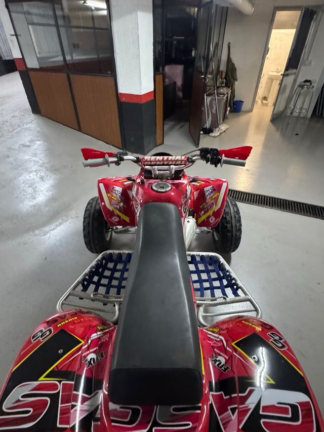 Gas Gas Wild 300 2T Quad