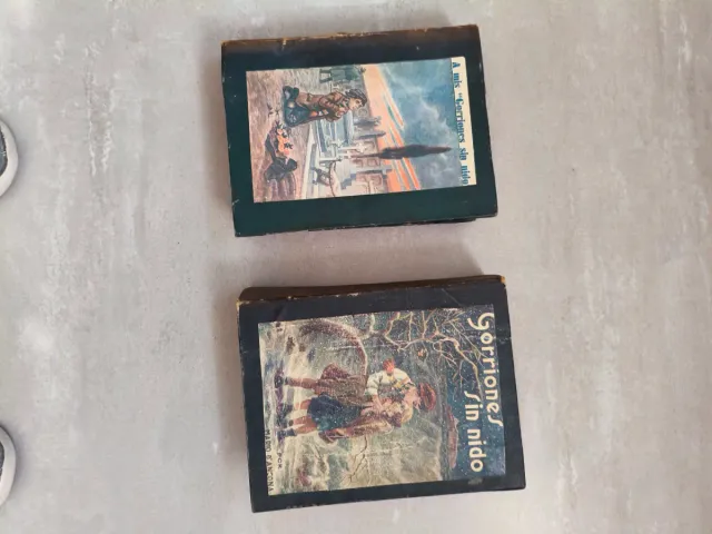 Libros Gorriones sin nido (2 unidades)