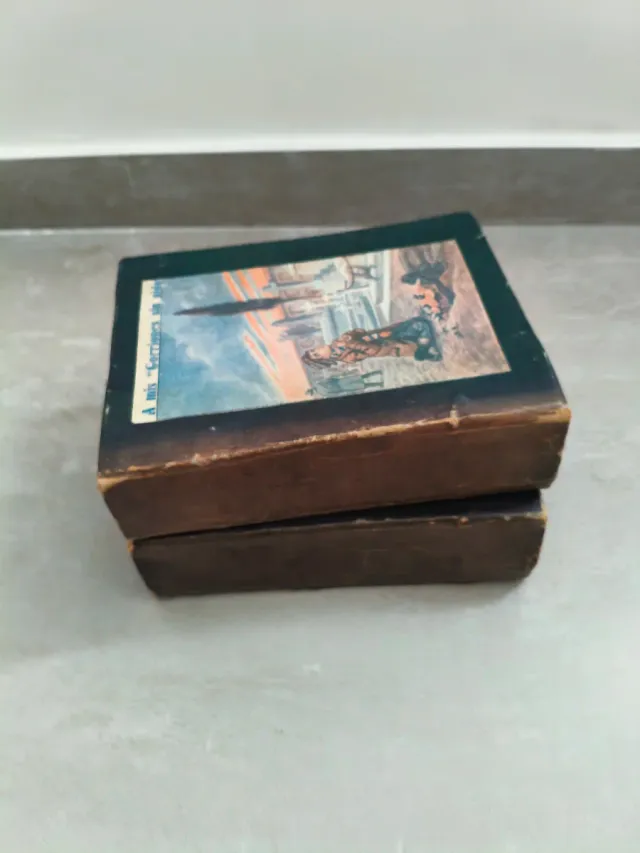 Libros Gorriones sin nido (2 unidades)