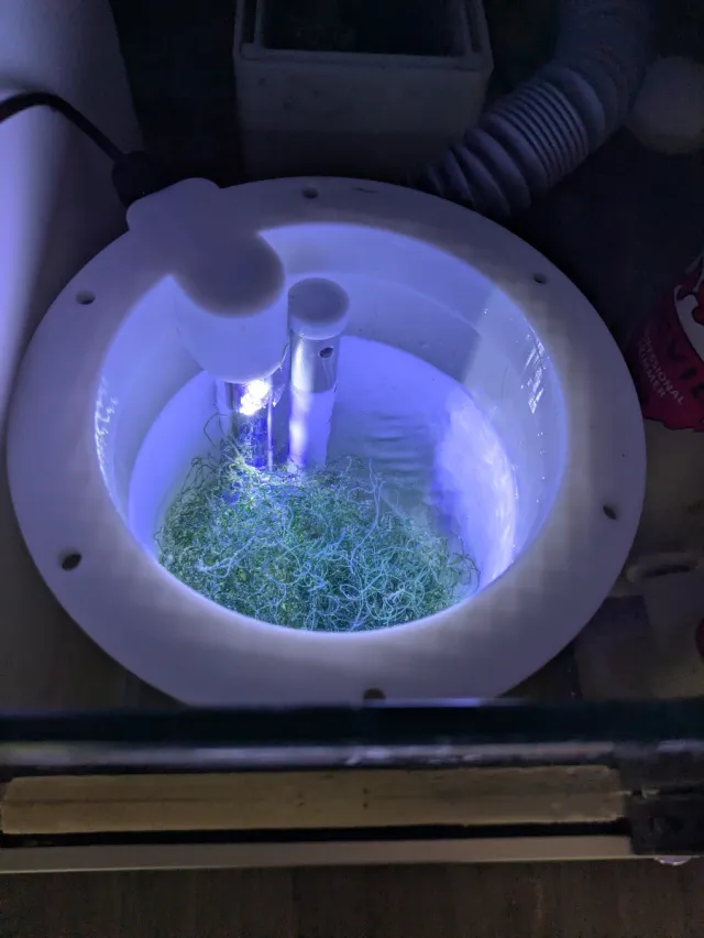 Reactor de algas Chaetomorpha