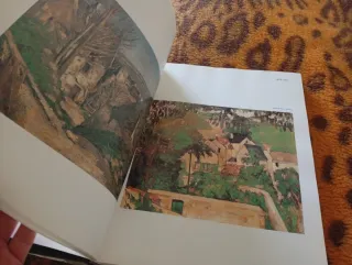 CÉZANNE POR SI MISMO