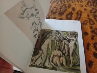 CÉZANNE POR SI MISMO