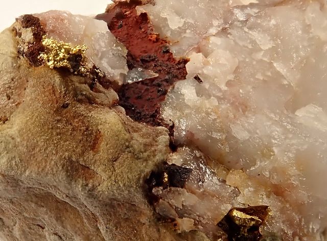 Mineral de Oro Nativo Cristalizado en Cuarzo