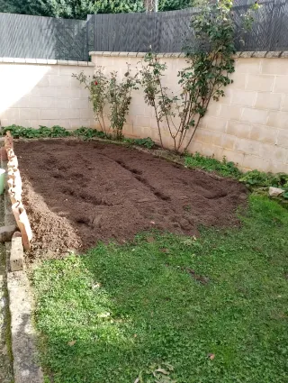 Motoazada Honda FG314