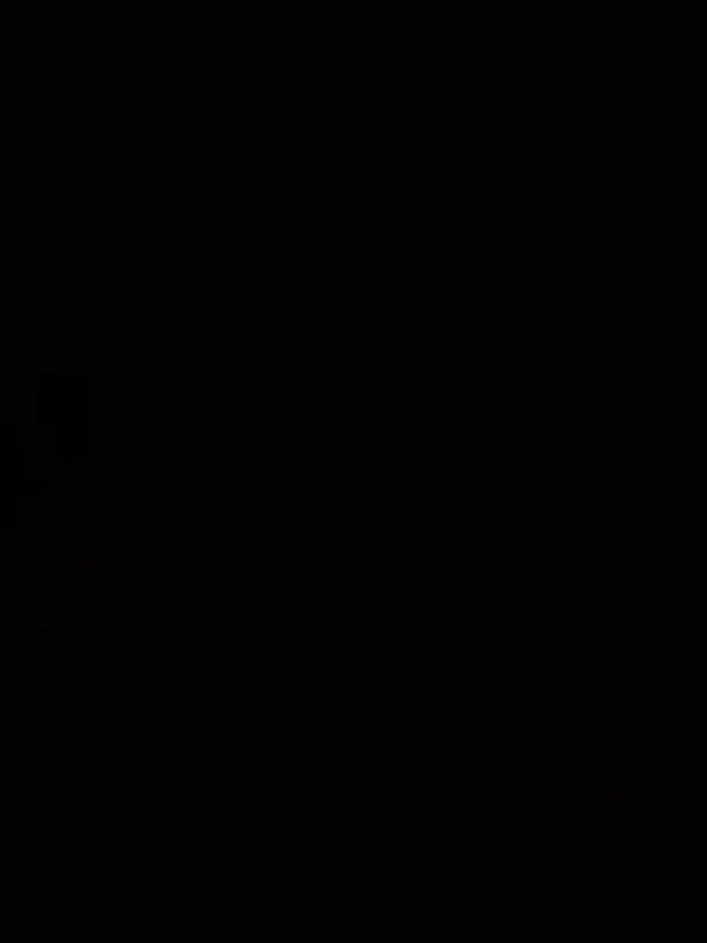 2 Cargadores Gas VFC