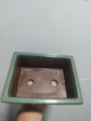 Maceta cerámica bonsai verde y marrón